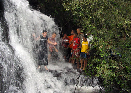forestway indigenous forest outdoor activities
